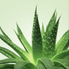 MIXGLISS Gel de massage Nuru MixGliss Aloe Vera 150ml